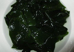 Wet Miyeok